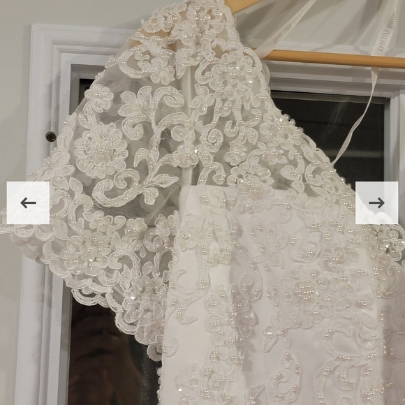 David's Bridal Lace Gown - Picture 7 of 10